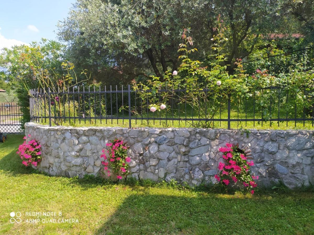 Mary Rose Apartments Oliveto Lario Extérieur photo