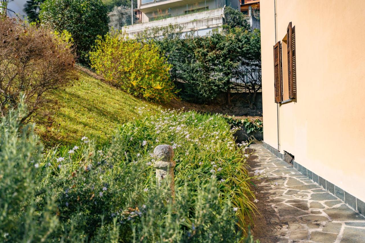 Mary Rose Apartments Oliveto Lario Extérieur photo